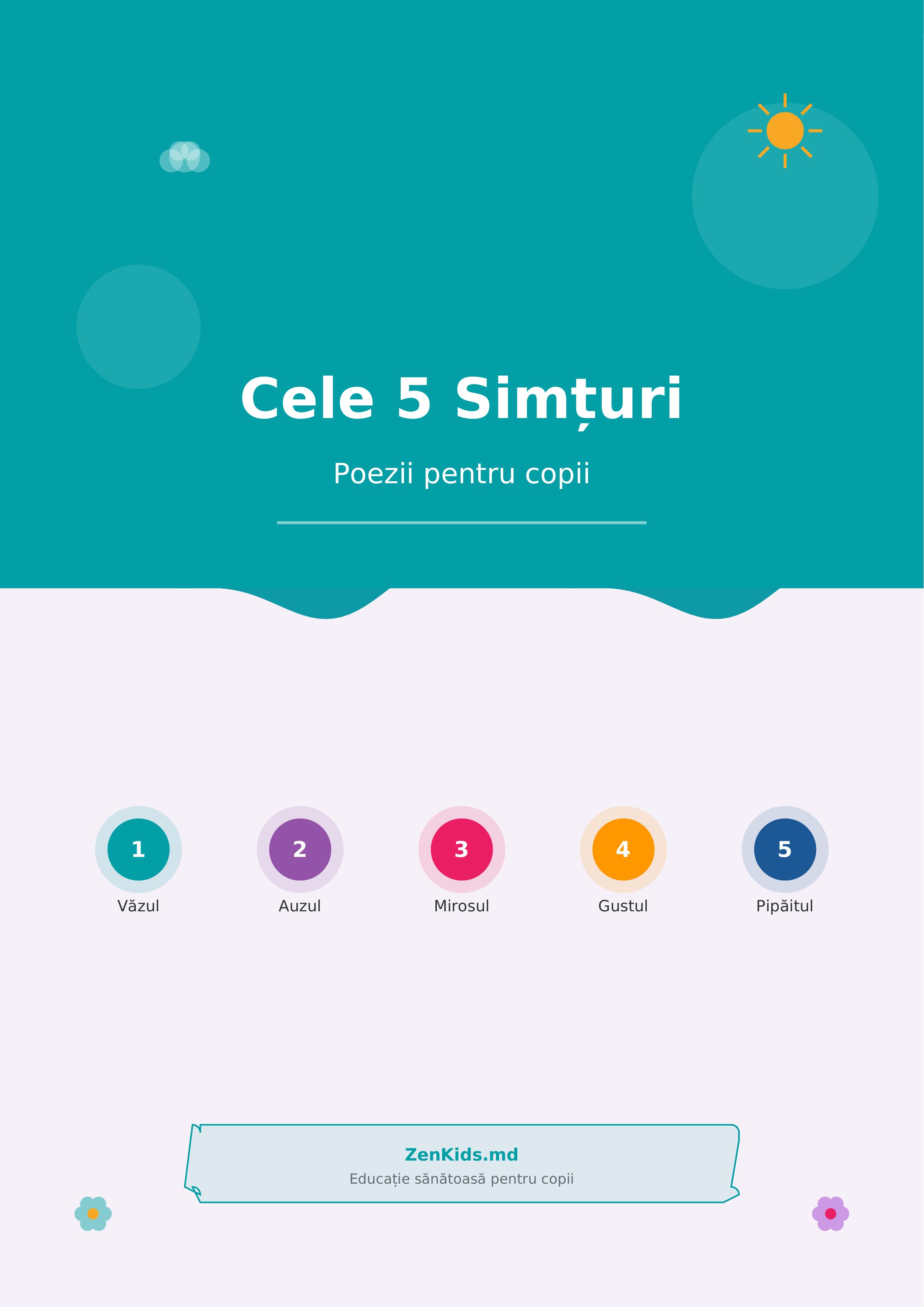 Cele 5 Simțuri